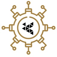 Decision velocity, enabled by real-time, cross-functional data and analytics (4)