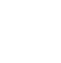 budget (1)